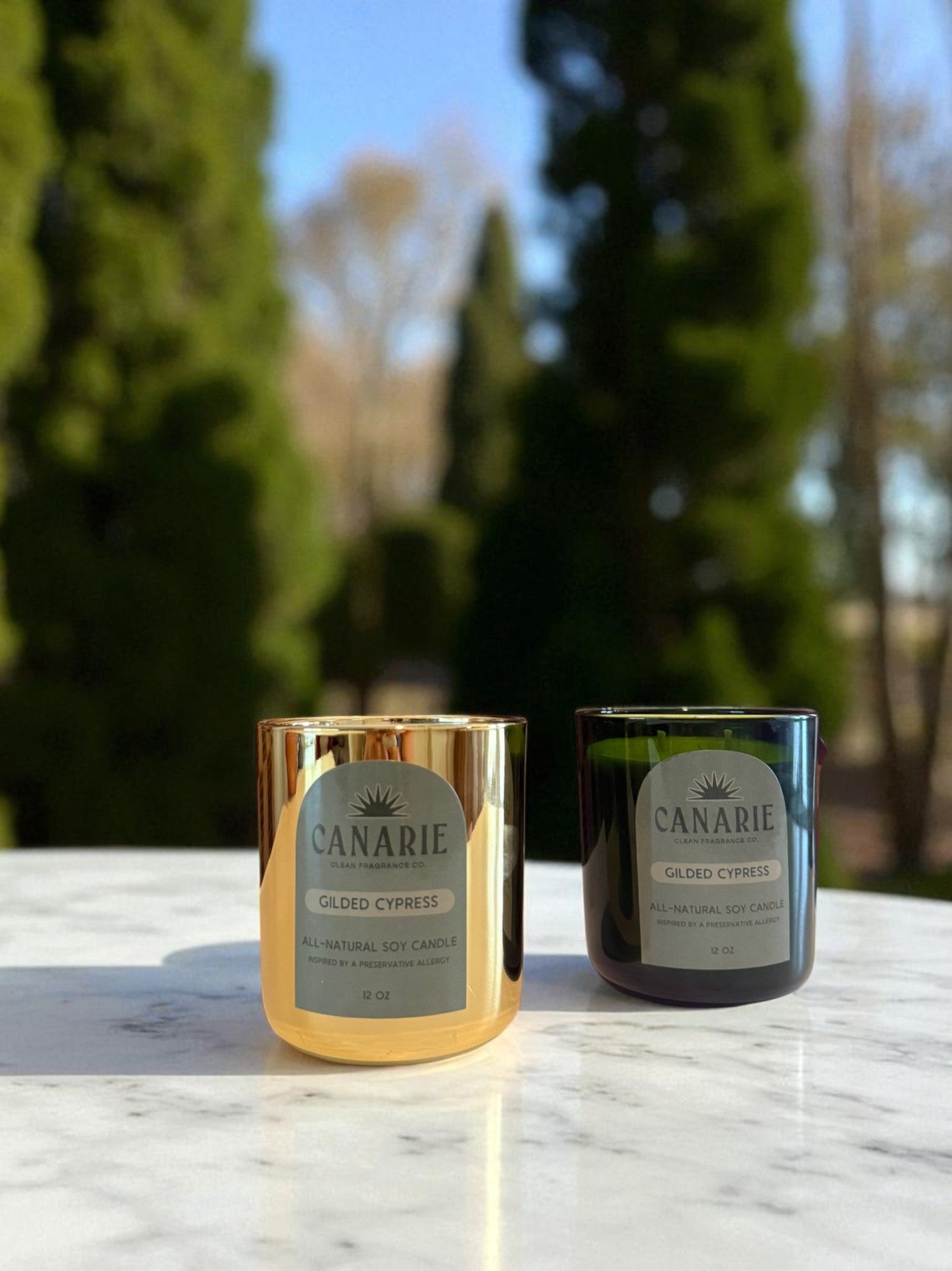Gilded Cypress